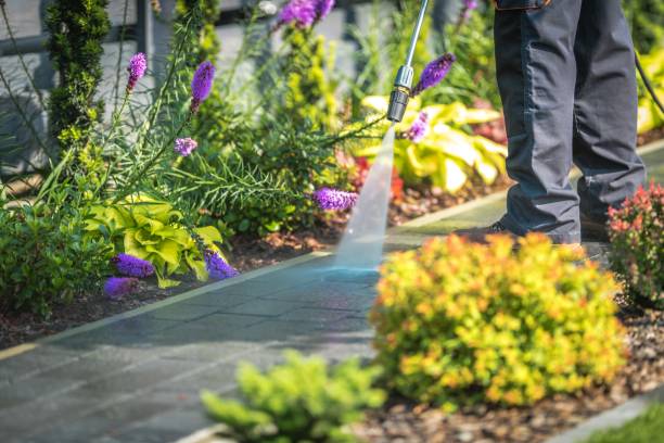 Best Pre-Holiday Cleaning  in Tiger Point, FL
