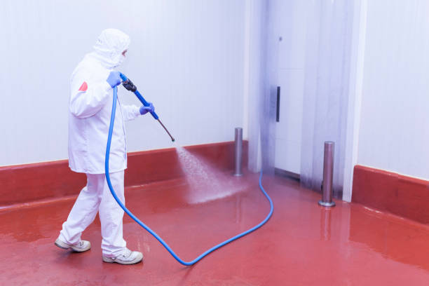 Best Driveway Pressure Washing  in Tiger Point, FL